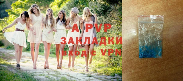 шишки Белокуриха