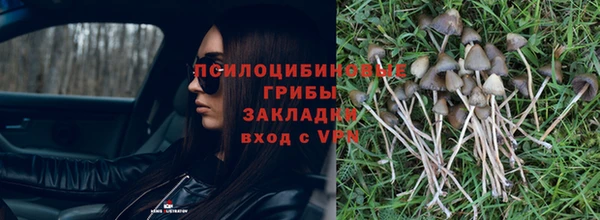 шишки Белокуриха