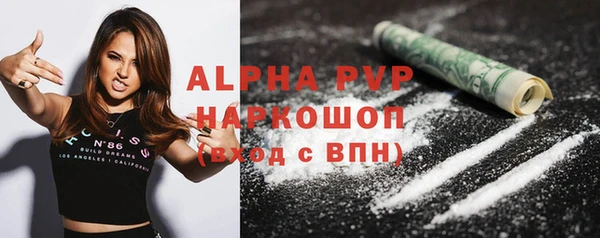 шишки Белокуриха
